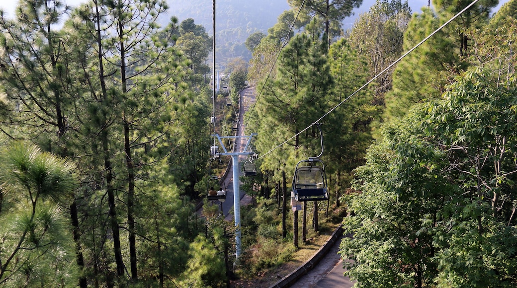 ํํธ๋ฆฌ์ํ