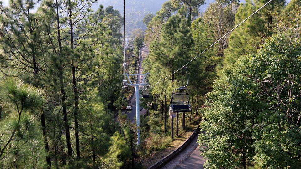 A cable car system winding through a forested area with tall pine trees.