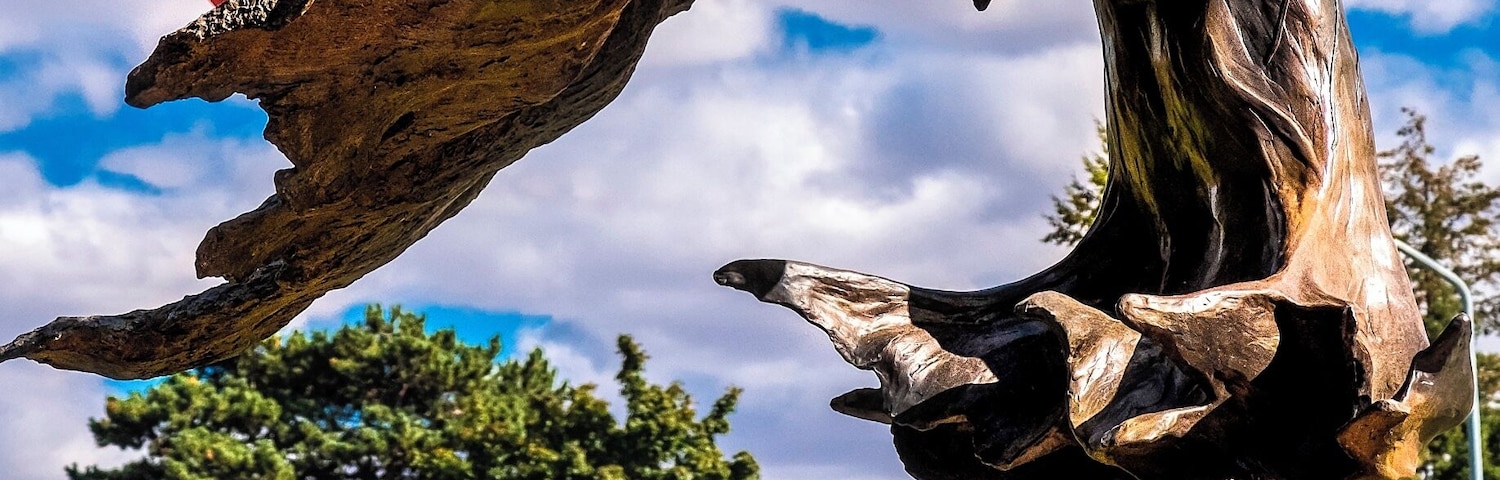 Flower Dancing in the Wind
Jerry McKellar
(2009)
This is what greets you as you enter the lake district of the city of Chelan.