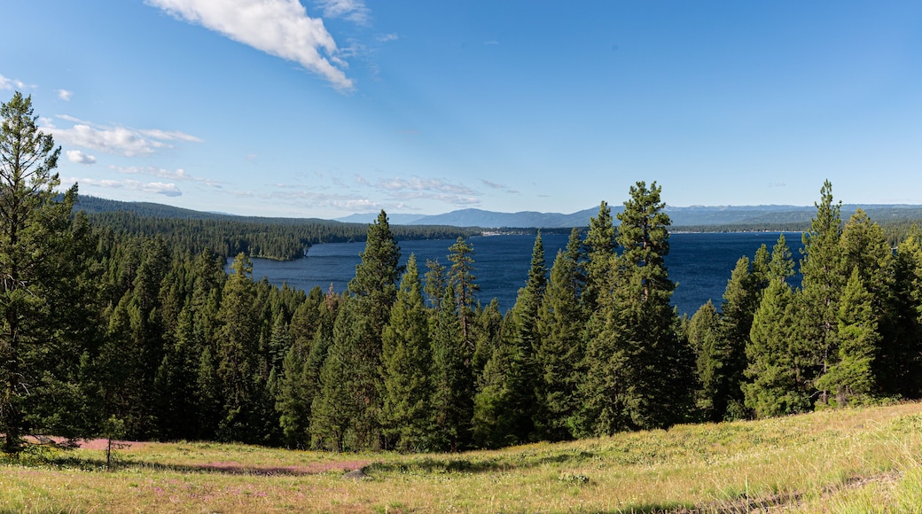 looking south toward McCall Idaho over Payette Lake