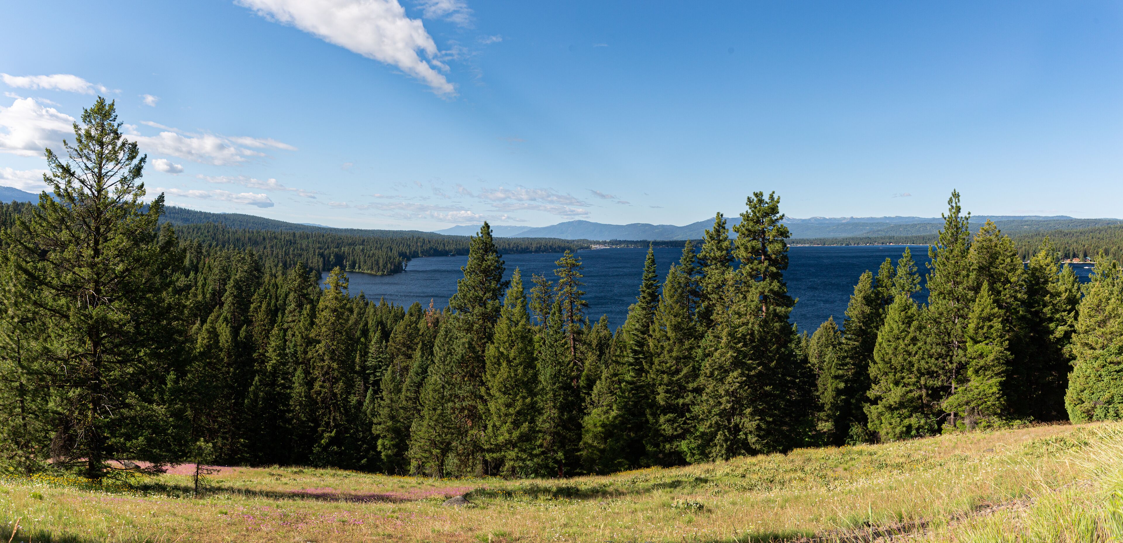 A lake surrounded by dense forests and distant mountains under a clear sky.