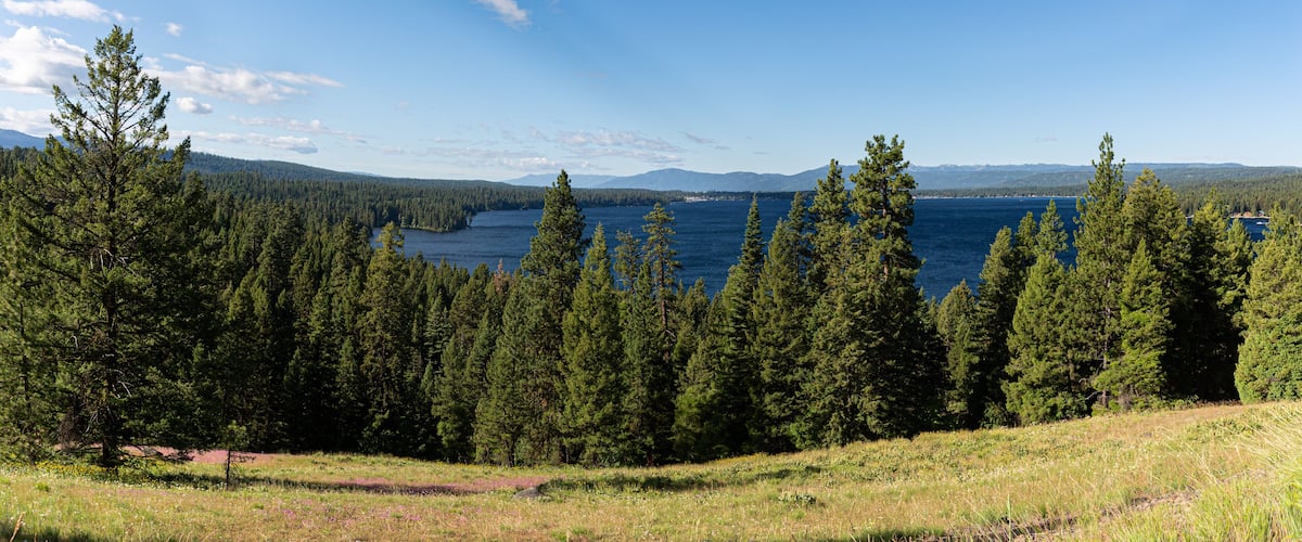 A lake surrounded by dense forests and distant mountains under a clear sky.