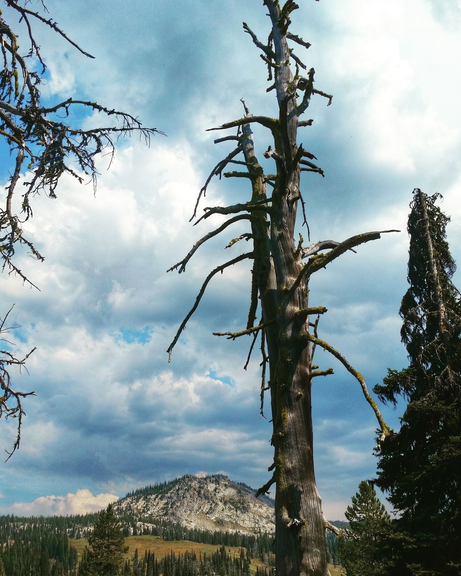 Hiking Boulder Lake - Louie Lake Loop, south of McCall, Idaho. Spectacular views on this 6.8 mile hike.  1,550 feet gain. Highest point was 7,700 feet! 