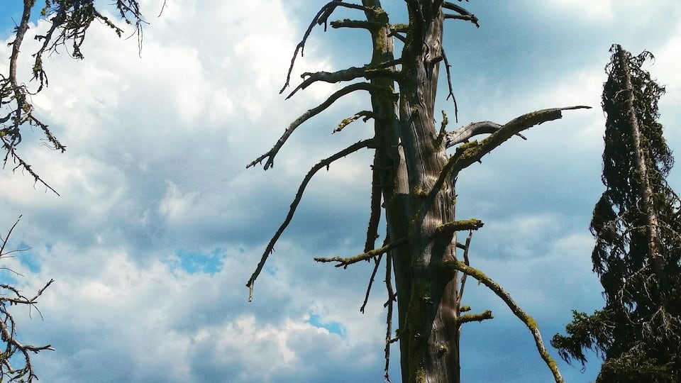 Hiking Boulder Lake - Louie Lake Loop, south of McCall, Idaho. Spectacular views on this 6.8 mile hike. 1,550 feet gain. Highest point was 7,700 feet!