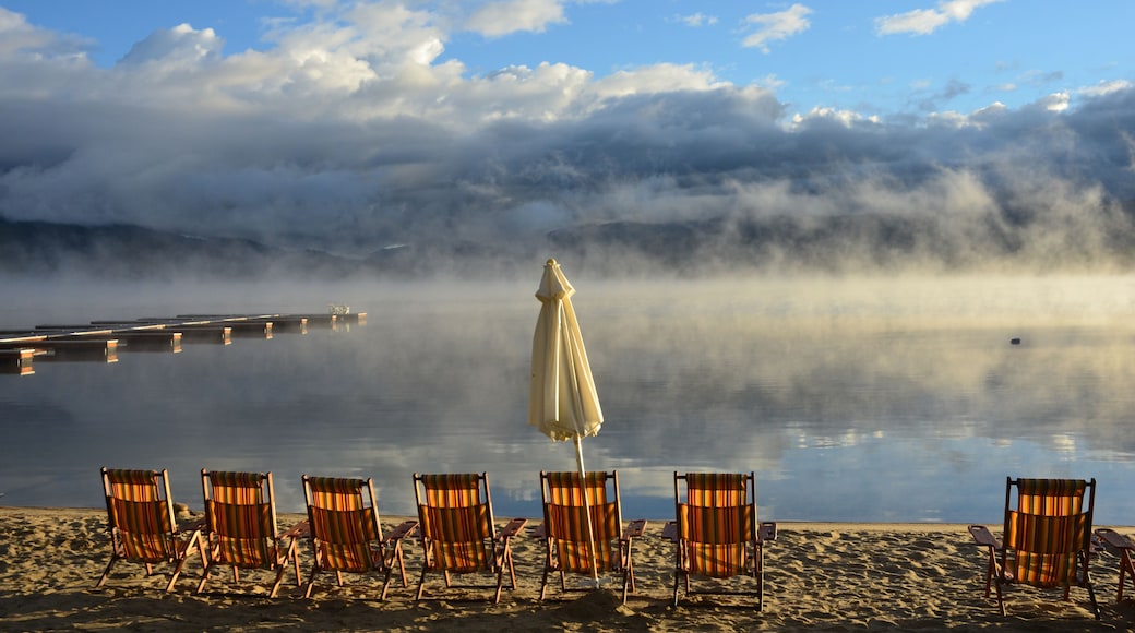Misty Lake