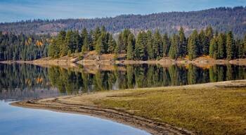 Whenever I get the chance to visit Payette Lake, I do. This was taken along the back road to the North Shore. I didn't see one person which is a little unusual but I wasn't going to complain.
#takeahike #weekendgetaway