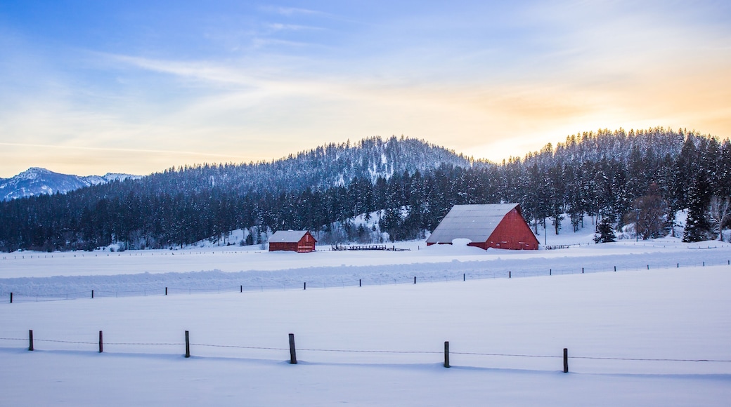 McCall Idaho Winter Barn ; Shutterstock ID 572115976