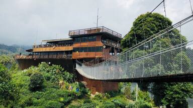Um edifício de madeira com uma ponte e vegetação exuberante.