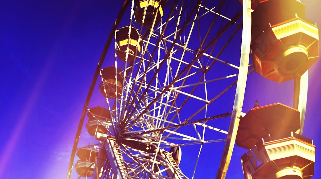 Chelsea Community Fair. 2016.