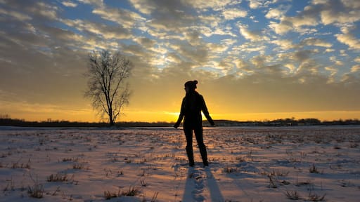 En person står på ett snötäckt fält med ett träd och en solnedgång i bakgrunden.