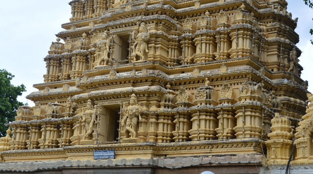 Sri Prasanna Krishna Swamy Temple, Mysore Karnataka.....ancient temple....great piece of architecture.
#mysore#karnataka#india#details#trover