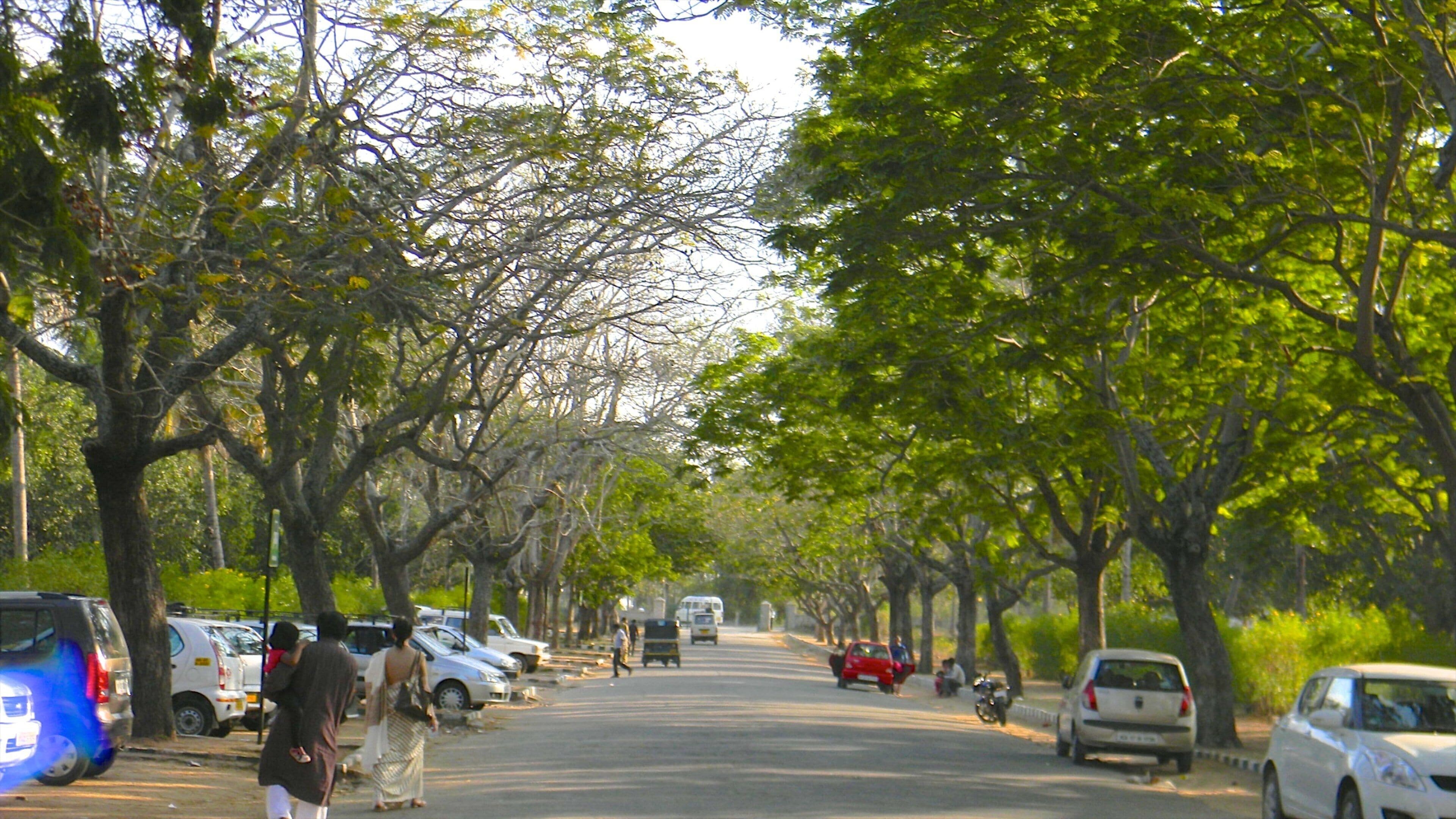 Mysore fasiliteter samt gatescener