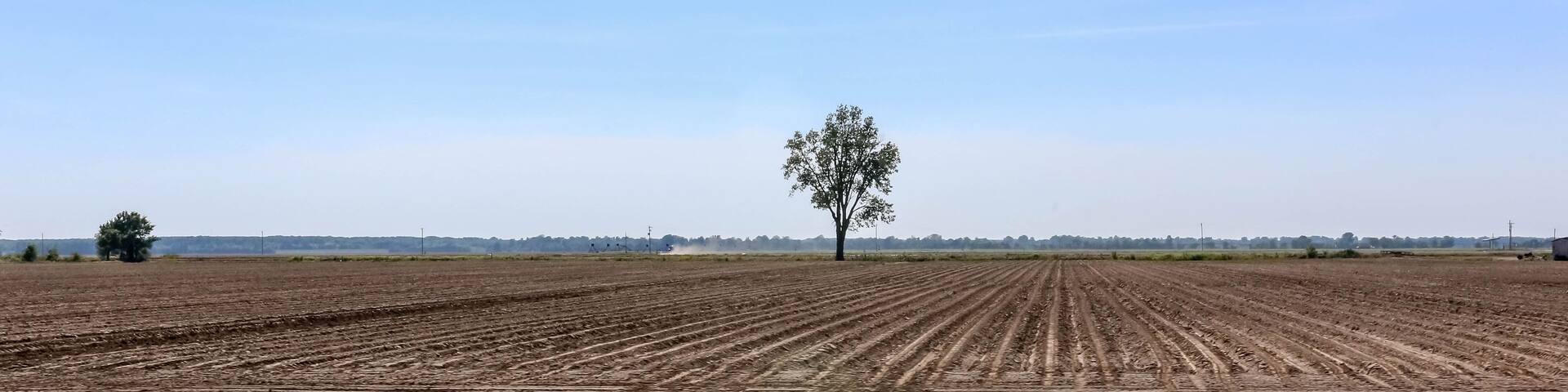 View of a plowed field in Western Tennessee. USA.
