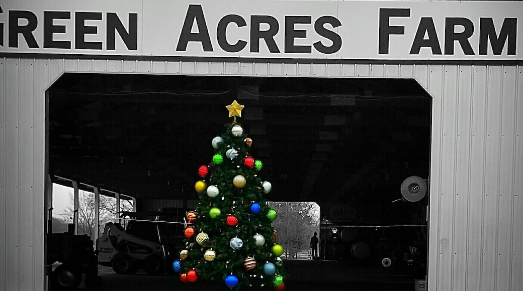 Simple, yet beautiful.
shadow&light photography, 2019.