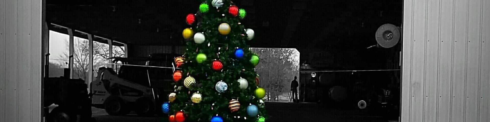 Simple, yet beautiful.
shadow&light photography, 2019.