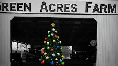 Simple, yet beautiful.
shadow&light photography, 2019.