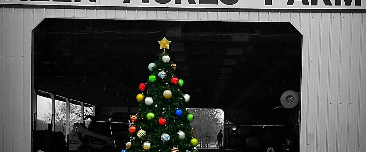 Simple, yet beautiful.
shadow&light photography, 2019.