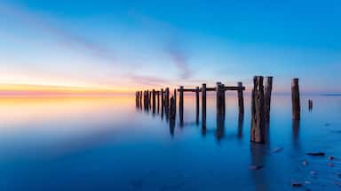 Some old wood pier post at “BLUE HOUR” love the blue hour long exposures!! Walnut Beach Area Milford, Connecticut