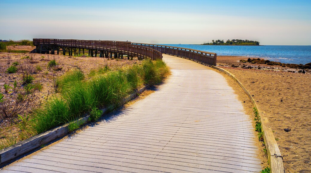 Curving wooden boardwalk along sandy beach at Silver Sands State Park in Milford, Connecticut, with calm blue water of Atlantic Ocean, coastal grass, and Charles Island visible in the background.