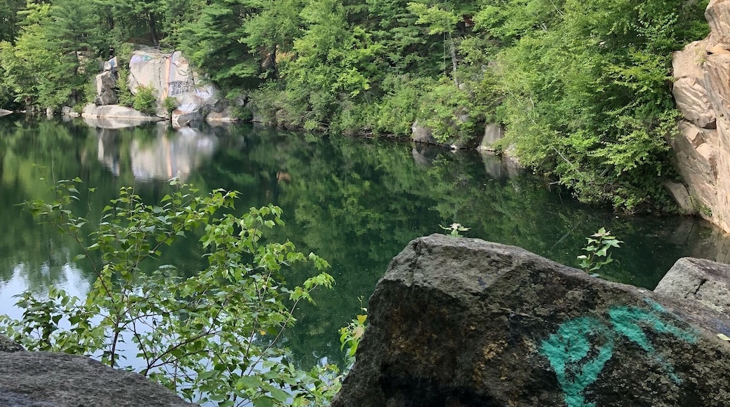 An absolute must for anyone that cliff jumps. It took me 2 days to finally find the place because technically it’s not ‘legal’ to jump, but that’s no reason for me to turn down a bucket list item