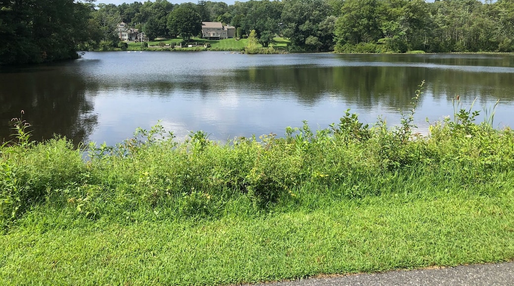 Great for a walk, bike ride or if you’re daring a cliff jump at nearby Milford Quarry