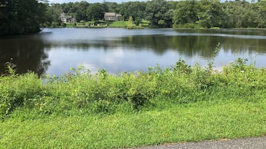 Great for a walk, bike ride or if you’re daring a cliff jump at nearby Milford Quarry