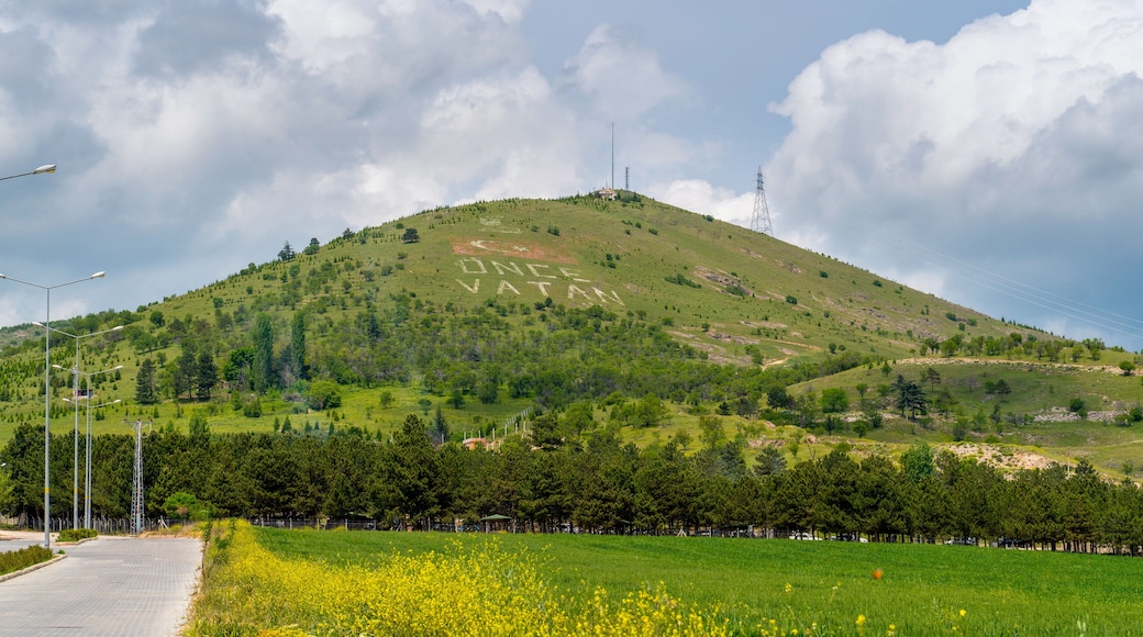 Merzifon, Amasya, Turkey - May 21 2023: Once Vatan picnic area.