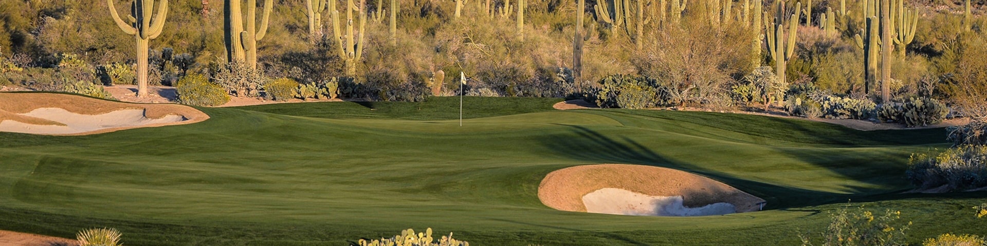 A desert golf course with green fairways, sand bunkers, and tall cacti.