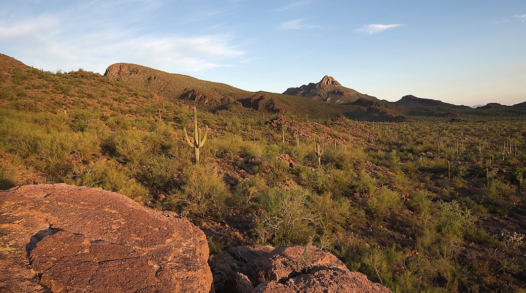 Marana
