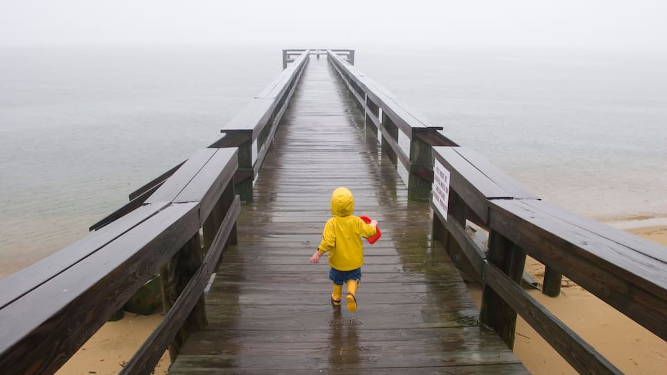A wooden pier extending into a foggy body of water.