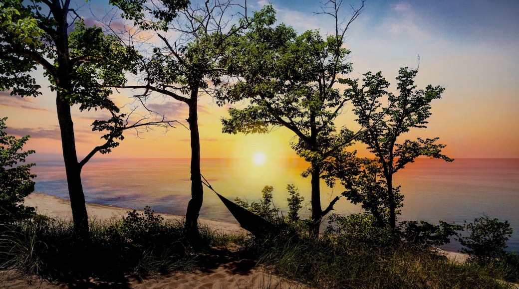 The silhouette of Indiana Dunes State Park landscape overlooking Lake Michigan at sunset near Porter, Indiana, USA.