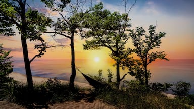 The silhouette of Indiana Dunes State Park landscape overlooking Lake Michigan at sunset near Porter, Indiana, USA.