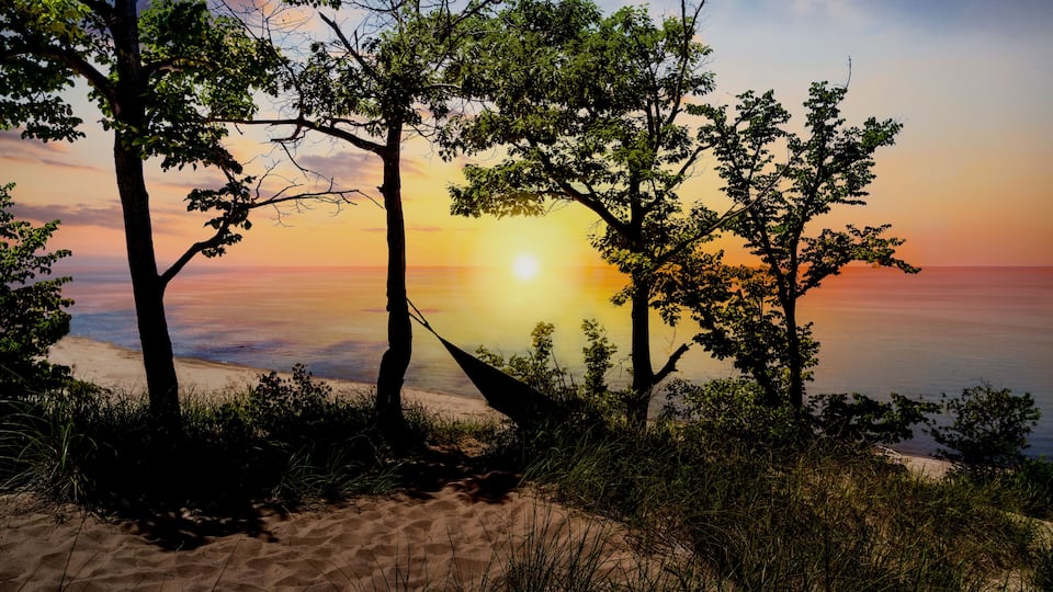 A beach with trees and a sunset.
