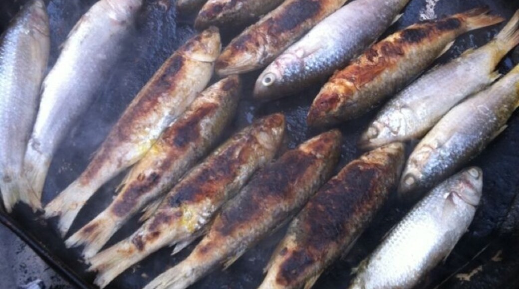 Delicious grilled fish,They are a good smell