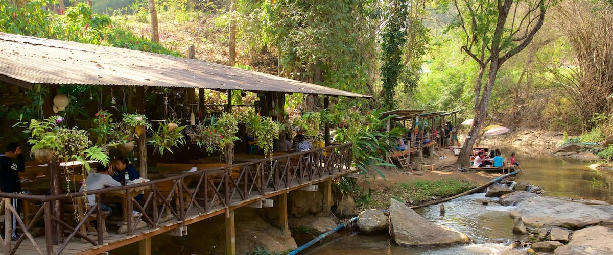 Chiang Mai which includes forest scenes and a river or creek