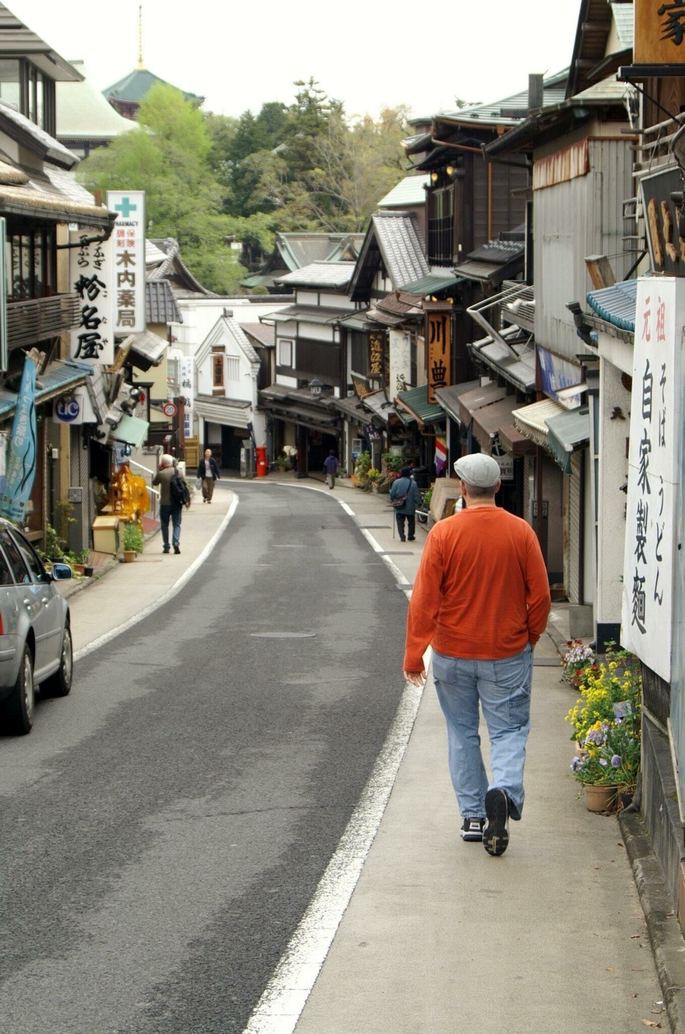 Store fronts on the way to Narita Shinshoji, Japan