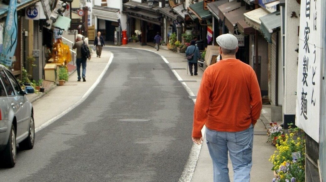 Store fronts on the way to Narita Shinshoji, Japan