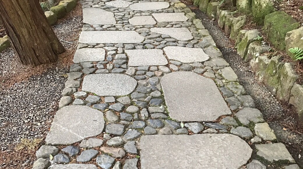 Pathway in Naritasan gardens.