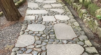 Pathway in Naritasan gardens.
