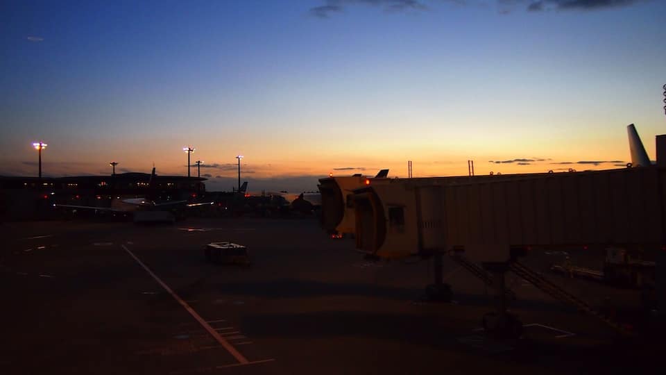 Leaving to the reality.