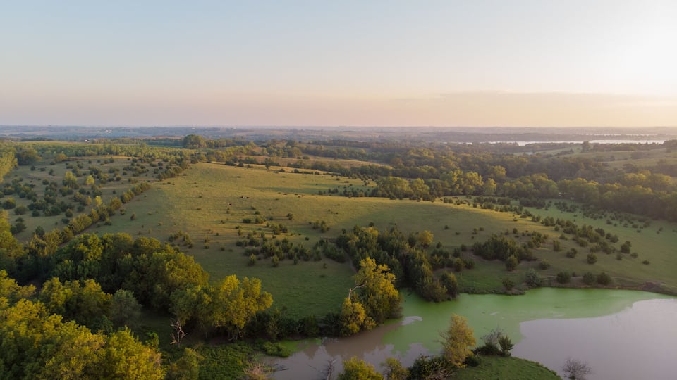 A vast green landscape with a river, rolling hills, and scattered trees.
