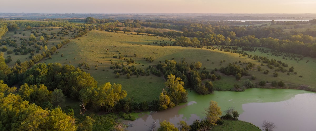 A vast green landscape with a river, rolling hills, and scattered trees.