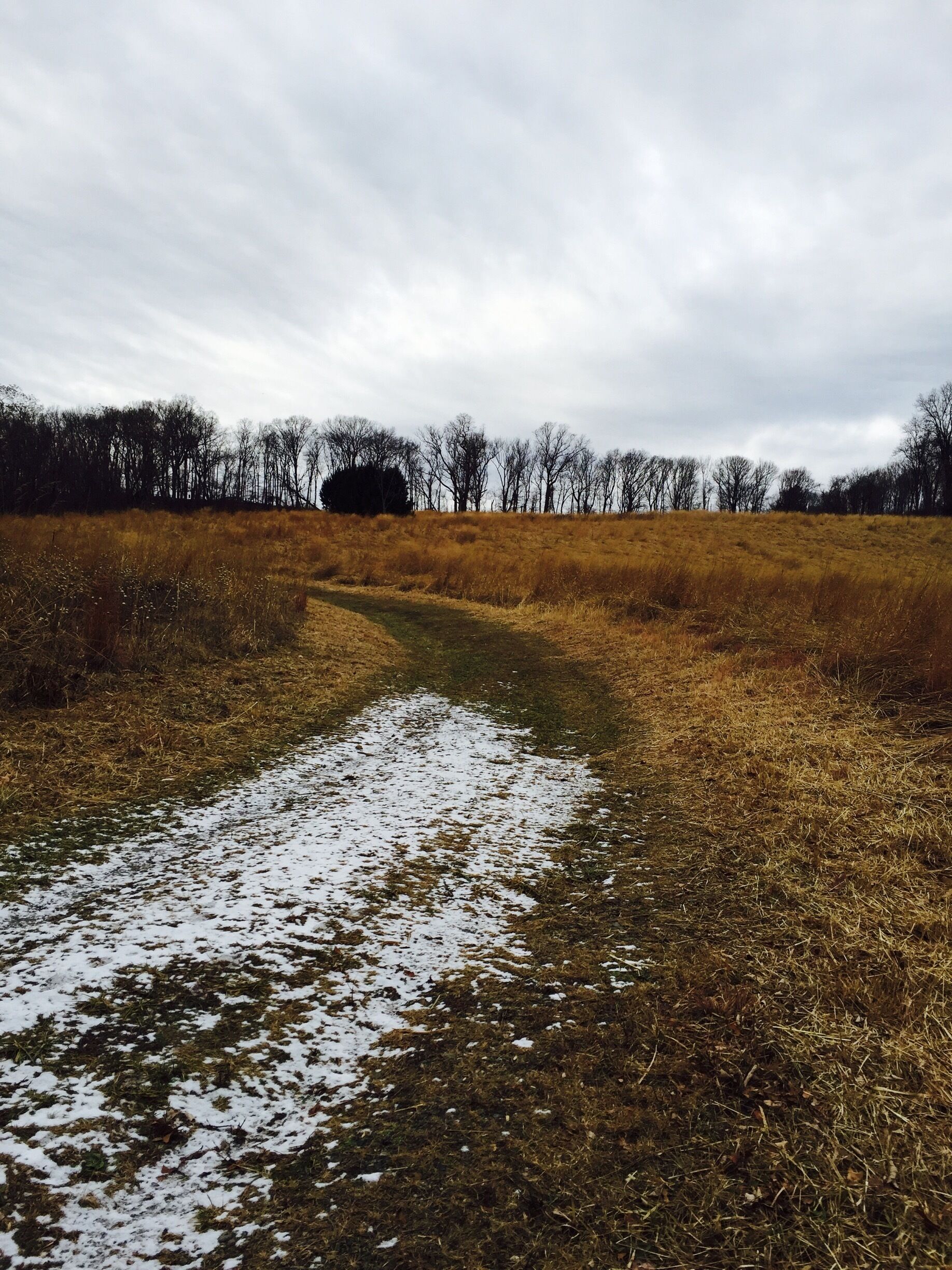 Snowy path through the wheat fields. #yepitsjersey. #winterwonders December 2016