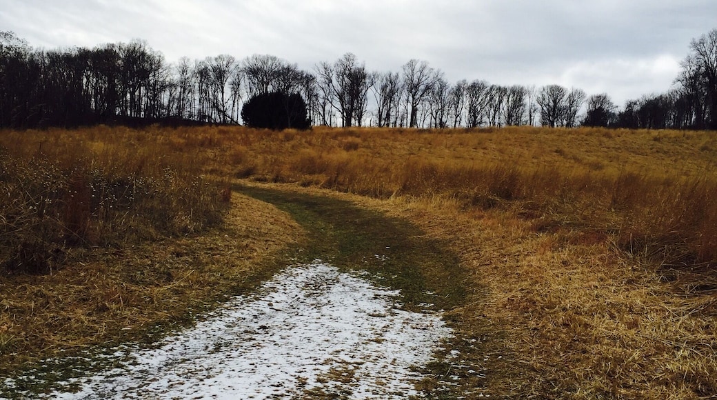 Snowy path through the wheat fields. #yepitsjersey. #winterwonders December 2016