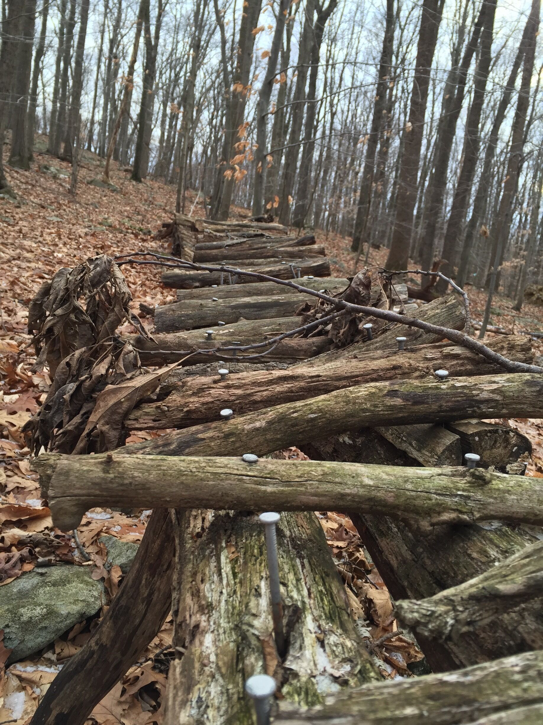 Bridge to nowhere discovered in the beautiful woods of Chester NJ. December 2016. Taken by John, age 13. #yepitsjersey. #winterwonders
