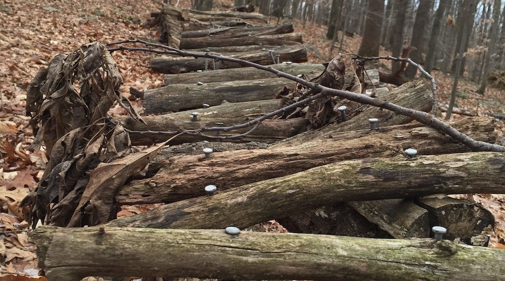Bridge to nowhere discovered in the beautiful woods of Chester NJ. December 2016. Taken by John, age 13. #yepitsjersey. #winterwonders