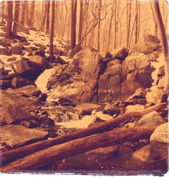 Nice moderate adventurous hike. There are path ways to follow once you leave the parking lot, but not sure where it ends. I usually off road it and set out for the walking the rocks. Nothing extreme, sneakers with a good grip or bucking boots; foot flops if you want to be a risk taker. 

In my childhood days we used to play in the water near the edges. I'm sure it gets deep in parts but I don't venture into anything I can't see the bottom of. Not 100% if full on water engulfment is allowed park rangers can be seen at times. Other than heavy rainfall or excessive snow accumulation, I have personally never seen either river way raging. 

There are snakes that like to sunbathe on rocks, fallen tree branches, even just snuggled up near a bench. Use caution and be respectful of the wildlife and all should be well. 

There are a select few picnic tables and possible some grills to use. No trash cans on the walkways so plea as be considerate and take all trash with you when you leave. Bathrooms are available only near the parking lot before growing down a sloped trail or stairs to get to the trails and river. 