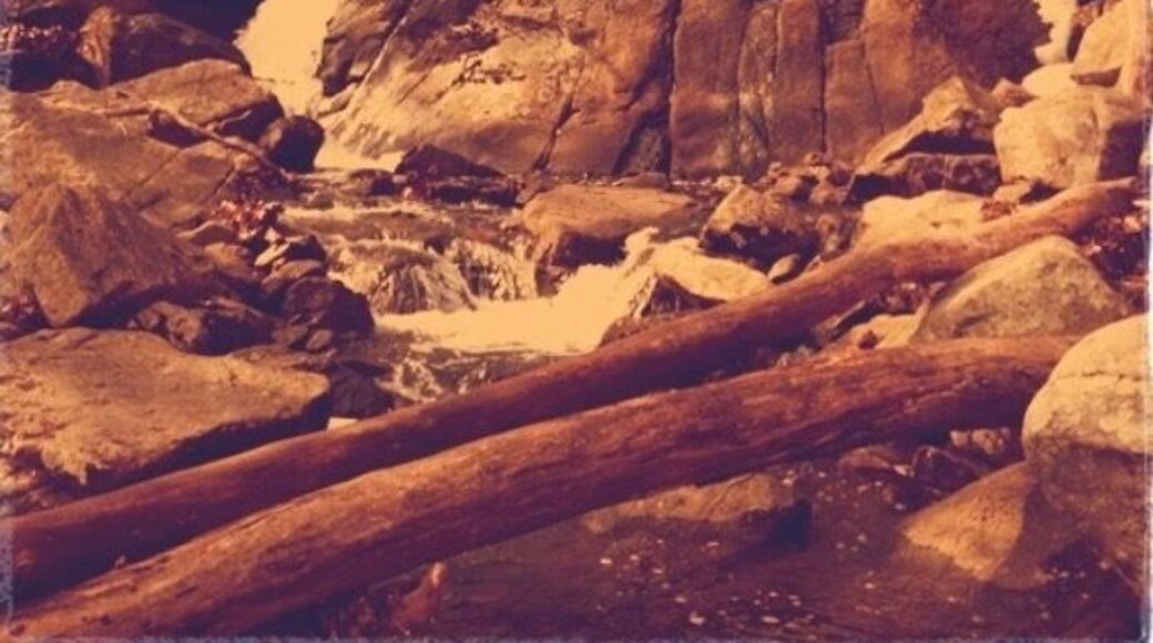 Nice moderate adventurous hike. There are path ways to follow once you leave the parking lot, but not sure where it ends. I usually off road it and set out for the walking the rocks. Nothing extreme, sneakers with a good grip or bucking boots; foot flops if you want to be a risk taker.
In my childhood days we used to play in the water near the edges. I'm sure it gets deep in parts but I don't venture into anything I can't see the bottom of. Not 100% if full on water engulfment is allowed park rangers can be seen at times. Other than heavy rainfall or excessive snow accumulation, I have personally never seen either river way raging.
There are snakes that like to sunbathe on rocks, fallen tree branches, even just snuggled up near a bench. Use caution and be respectful of the wildlife and all should be well.
There are a select few picnic tables and possible some grills to use. No trash cans on the walkways so plea as be considerate and take all trash with you when you leave. Bathrooms are available only near the parking lot before growing down a sloped trail or stairs to get to the trails and river.