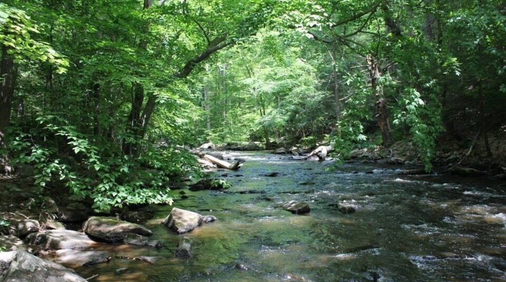 Nice trails, some very rocky but a fun hike!