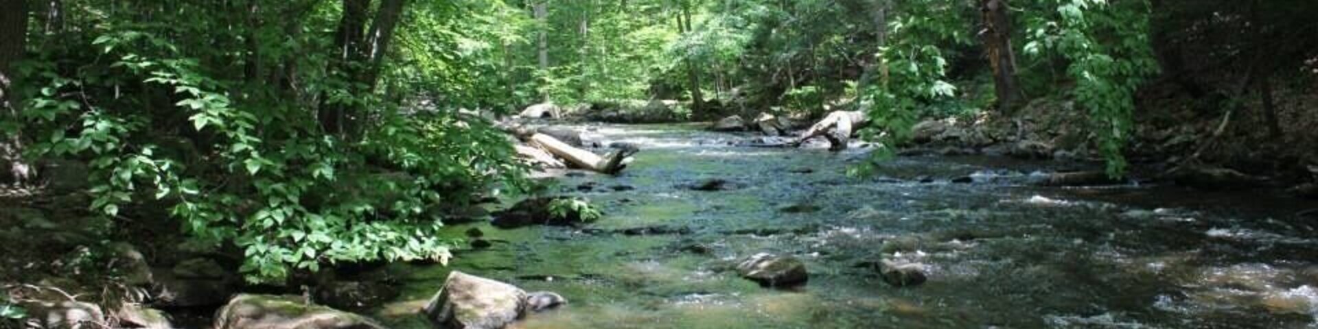 Nice trails, some very rocky but a fun hike!